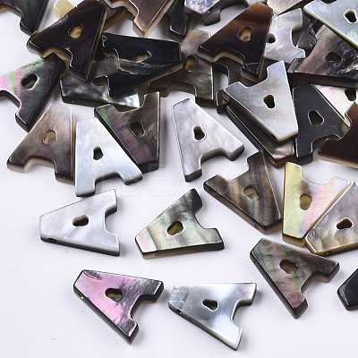 Natural Black Lip Shell Beads X-SSHEL-S265-001A-1