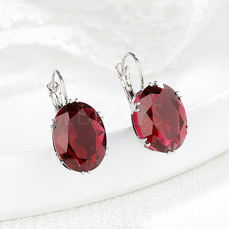 Oval Alloy Rhinestone Leverback Earrings FS-WG5DBAA-07-1