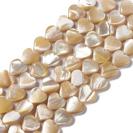 Natural Trochid Shell/Trochus Shell Beads Strands SHEL-F003-08B-1