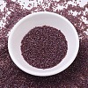MIYUKI Delica Beads SEED-MY11-DB0129-2