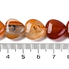 Natural Red Agate Beads Strands G-I372-A03-02-3
