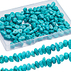 2 Strands Natural Howlite Beads Strands TURQ-SC0001-17-1