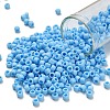TOHO 6/0 Round Beads X-SEED-TR06-0403F-1