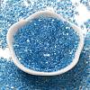 Glass Seed Beads SEED-K009-08B-01-2