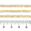 Natural Citrine Beads Strands G-Z074-A03-01-5