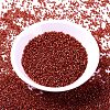 MIYUKI Delica Beads X-SEED-J020-DB2173-2