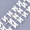 Freshwater Shell Beads X-SHEL-T012-59N-1