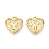 Alloy Pendants LS-PALLOY-N157-001Y-NR-1