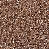 MIYUKI Delica Beads SEED-MY11-DB1221-3