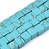 Dyed Synthetic Turquoise Beads Strands G-T139-8x8-43A-4