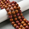 Dyed Natural Malaysia Jade Beads Strands G-G021-02C-19-4