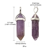 2Pcs Natural Amethyst Double Terminated Pointed Pendants G-YW0002-05B-5