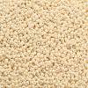 TOHO 11/0 Round Beads SEED-TR11-0123-2