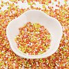 Baking Paint Glass Seed Beads SEED-S042-05B-44-2