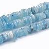 Natural Aquamarine Beads Strands G-G841-B09-1