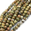 Natural Rhyolite Jasper Beads Strands G-F674-03AB-8mm-1