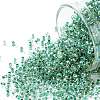 TOHO 11/0 Round Beads SEED-XTR11-0699-1