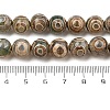Natural Tibetan 3-Eye dZi Agate Beads Strands G-A240-A03-01-5