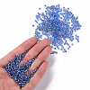 8/0 Glass Seed Beads X2-SEED-A005-3mm-26-4