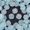 Frosted Transparent Acrylic Beads OACR-P029-19B-06-1