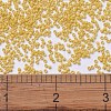 MIYUKI Delica Beads X-SEED-J020-DB2102-4