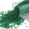 TOHO Round Seed Beads X-SEED-TR15-0036-1