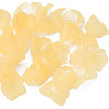 Transparent Acrylic Beads PL551-C30-6