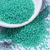 MIYUKI Round Rocailles Beads SEED-JP0008-RR0572-1