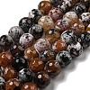 Faceted Natural Fire Crackle Agate Beads Strands G-F447-12mm-N14-2