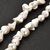 Electroplated Shell Pearl Beads Strands BSHE-C009-01A-2