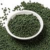 MIYUKI Round Rocailles Beads SEED-X0055-RR0501-2