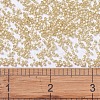 MIYUKI Delica Beads X-SEED-J020-DB0621-4