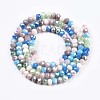 Glass Beads Strands GLAA-T006-16E-2