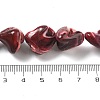 Dyed Natural Trochus Shell Beads Strands BSHE-Z006-02C-4