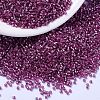 MIYUKI Delica Beads SEED-X0054-DB2162-1