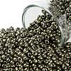 12/0 Glass Seed Beads X1-SEED-A017-2mm-1124-1
