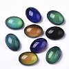 Translucent Glass Cabochons X-GLAA-T023-02E-1