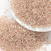 12/0 Transparent Glass Round Seed Beads SEED-J010-F12-L36-1