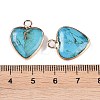 Dyed Synthetic Imperial Jasper Pendants G-P529-08G-01-3