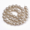 Natural Dyed Agate Beads Strands G-N326-12C-01-2
