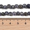 Natural Cordierite/Iolite/Dichroite Beads Strands GG-CBA9A7F-A02-5