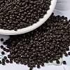 MIYUKI Round Rocailles Beads X-SEED-G008-RR0409-1
