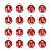 Platinum Plated Alloy Enamel Charms LS-X-ENAM-S118-03I-P-2