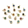 304 Stainless Steel Charms STAS-Z115-01G-1