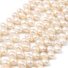 Natural Cultured Freshwater Pearl Beads Strands PEAR-I007-04E-01A-2
