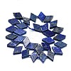 Natural Lapis Lazuli Beads Strands G-K245-E05-A01-2