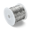 Non-Tarnish 316 Surgical Stainless Steel Wire TWIR-L004-01D-P-2