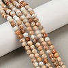 Dyed Natural Regalite/Imperial Jasper/Sea Sediment Jasper Beads Strands G-B124-C04-11-5