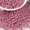 MIYUKI Round Rocailles Beads X-SEED-G008-RR0556-1