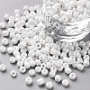 6/0 Glass Seed Beads SEED-US0003-4mm-121-1